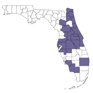 map of Florida with counties